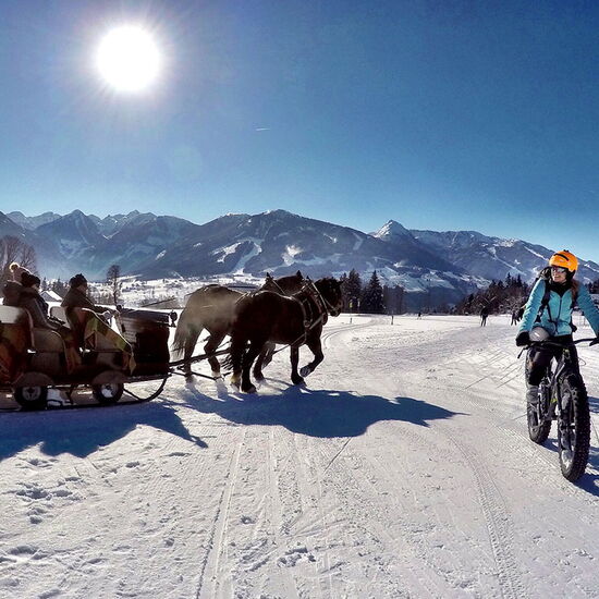 Horse-drawn carriage rides and fat bikes in winter